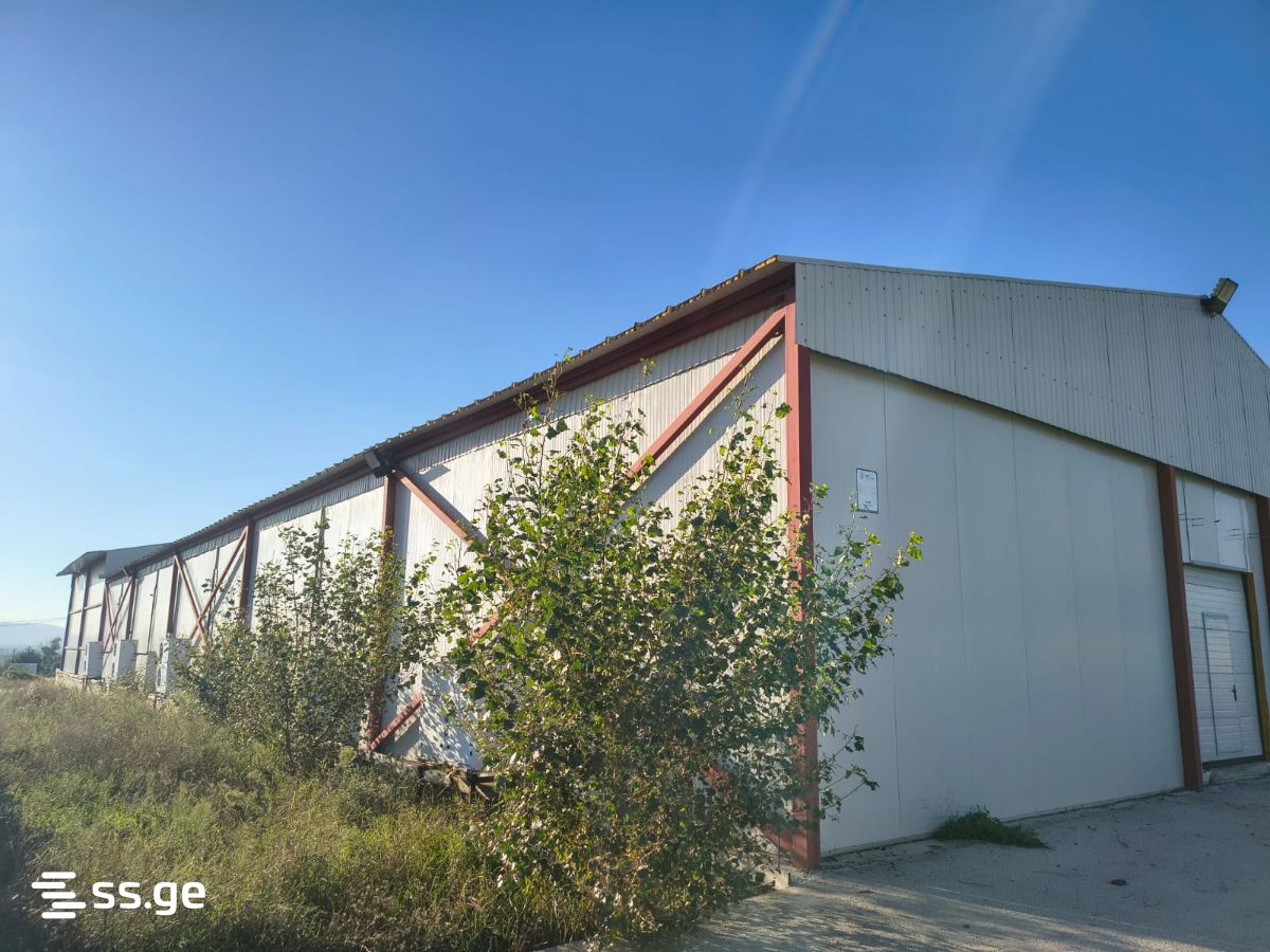 იყიდება Store-Industrial Property საგურამოში view 6