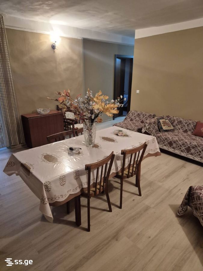 Private House For Rent. Poti view 1