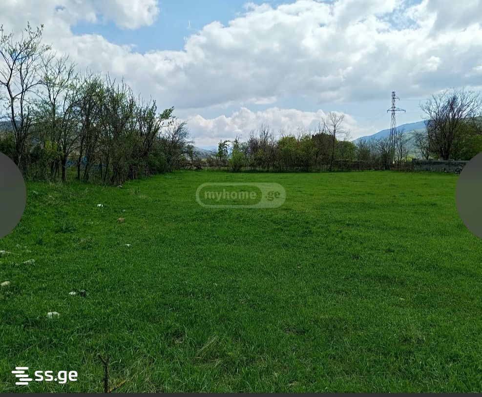 Land For Sale. Bulachauri view 2