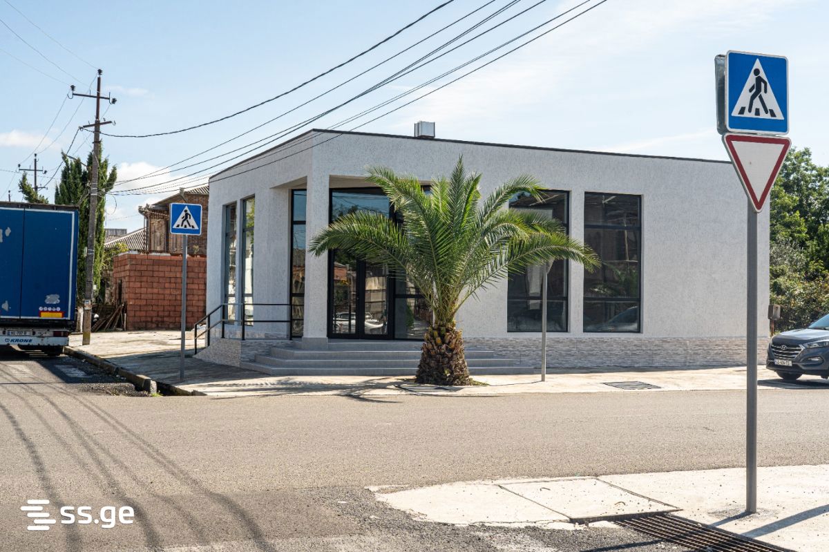 Commercial Real Estate For Rent. Poti view 3