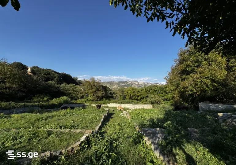 Private House For Sale. Keda view 2