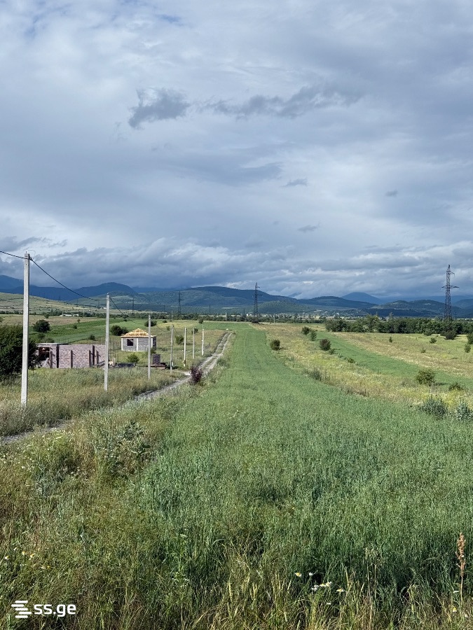 იყიდება მიწა დუშეთიში view 3