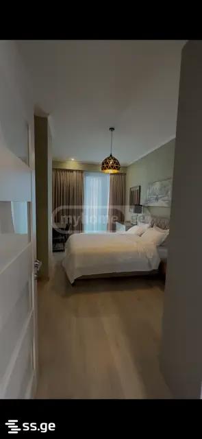 3 Room Flat For Rent. Krtsanisi view 2