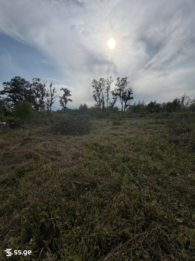 Land For Sale. Ureki view 4