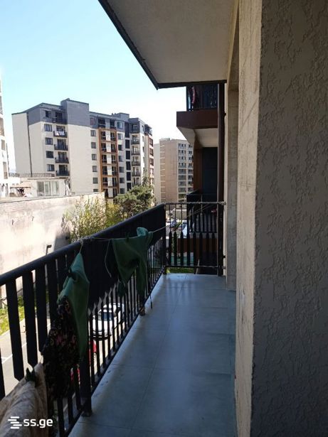 https://static.ss.ge/20261003/19_dee344c7-e577-4be8-b7a7-86e653ae4ade_Thumb.jpg