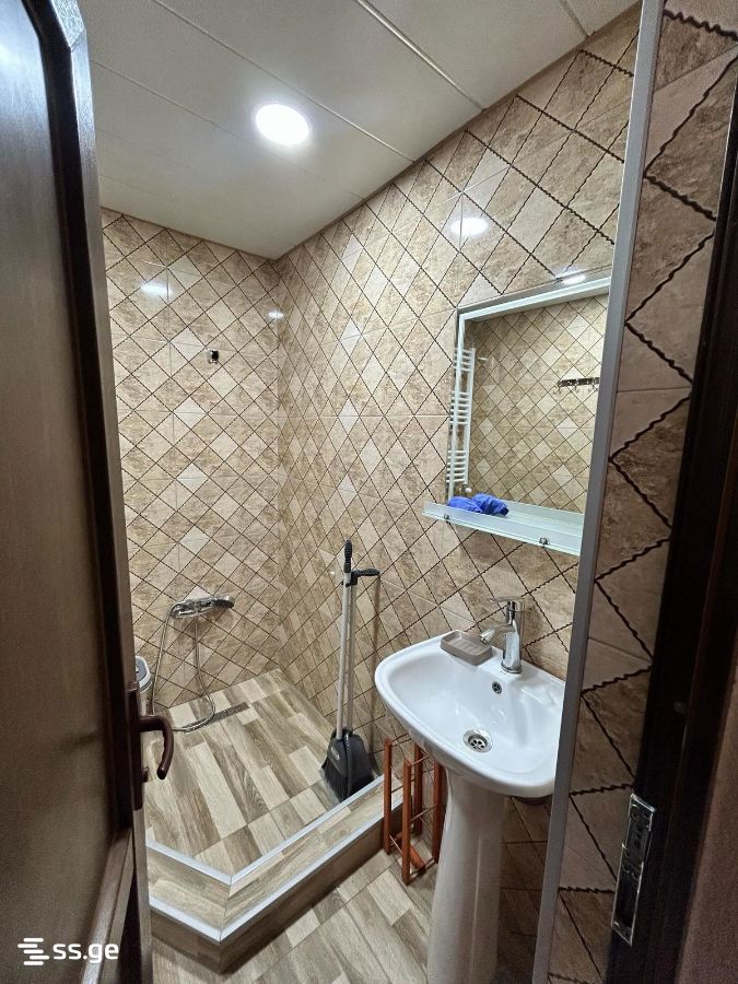 3 Room Private House For Rent. Rustavi view 6