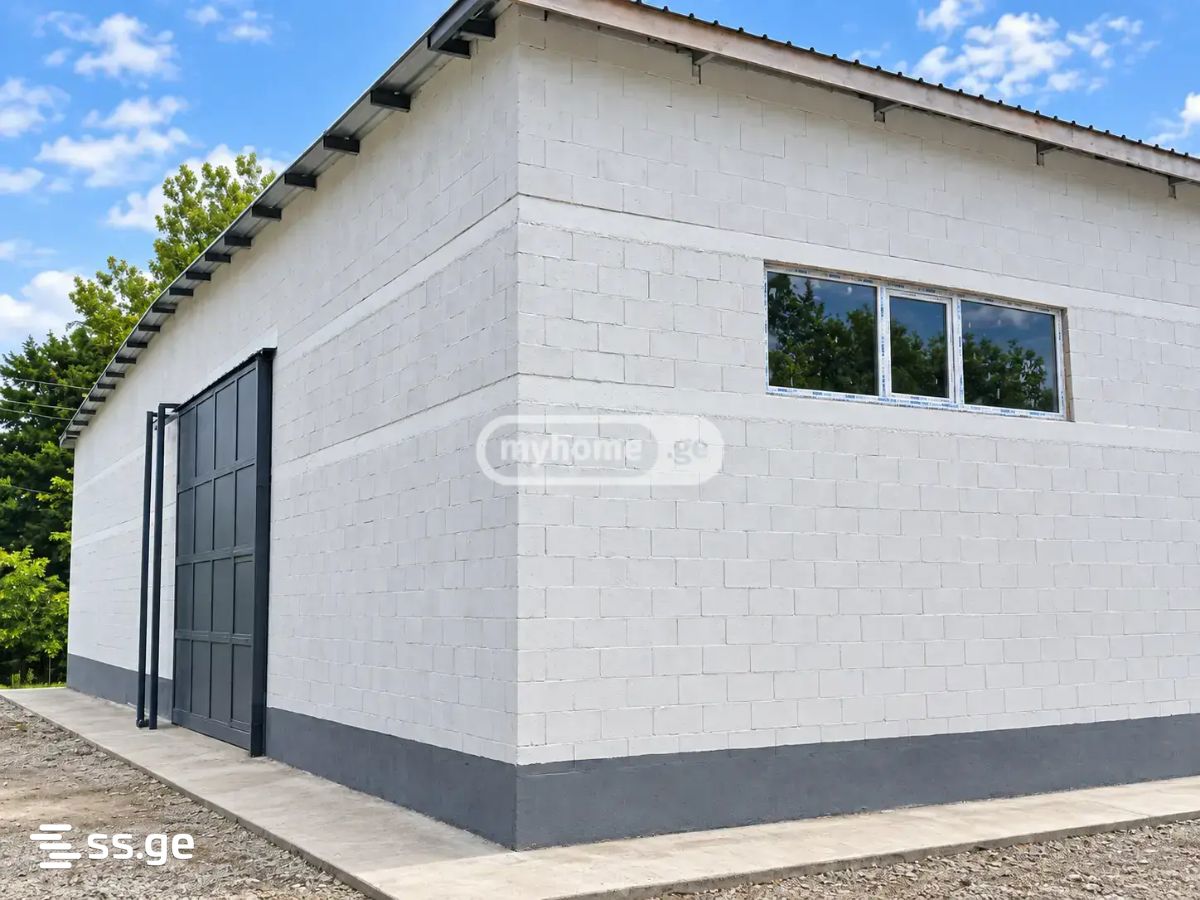 Store-Industrial Property For Rent. Sagarejo view 4