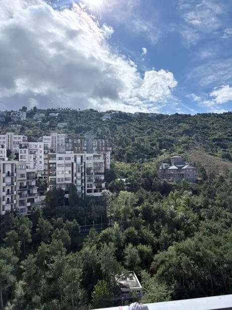 https://static.ss.ge/20261004/5_49a3ac58-5c39-46a8-9023-69e562c223bc_Thumb.jpg