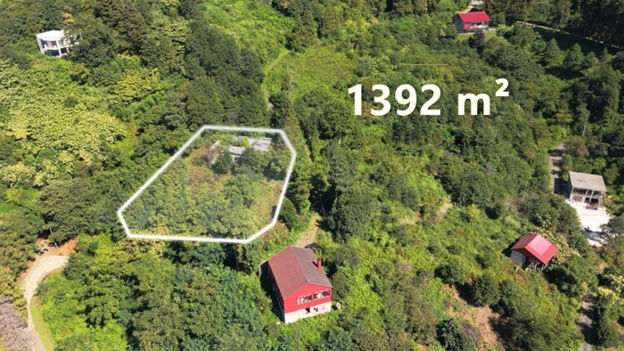 Land For Sale. Batumi - picture #1