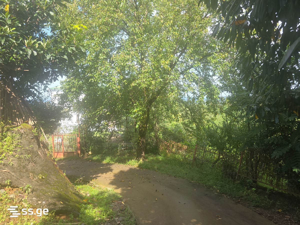 7 Room Private House For Sale view 4