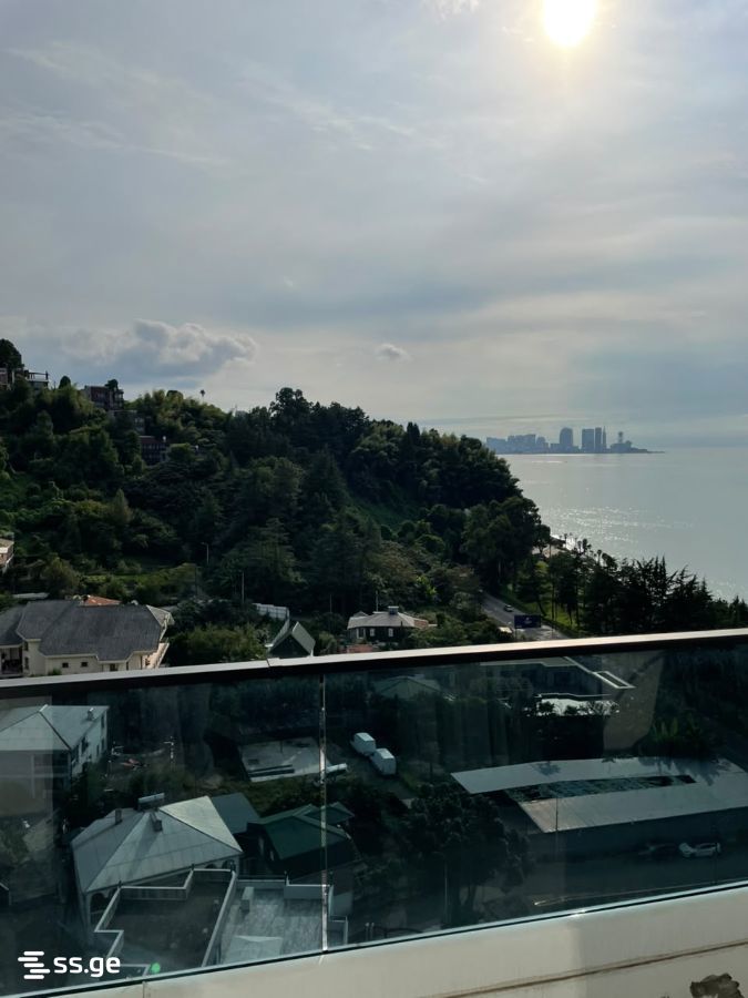 1 Room Flat For Rent. Makhindjauri view 4