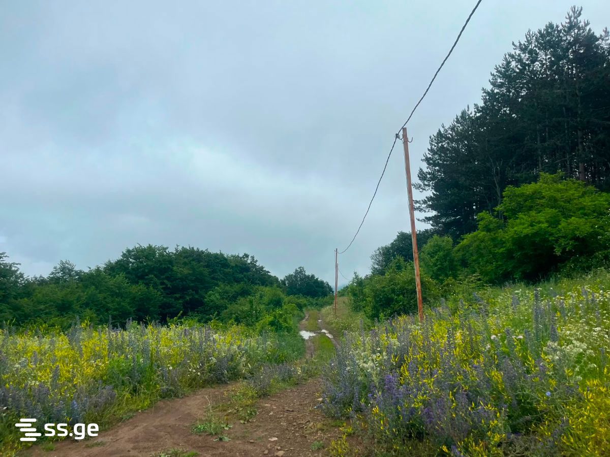 Land For Sale. Orbeti view 1