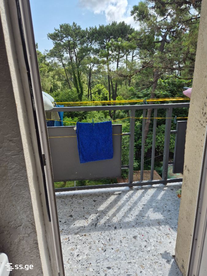 1 Room Flat For Rent. Poti view 4