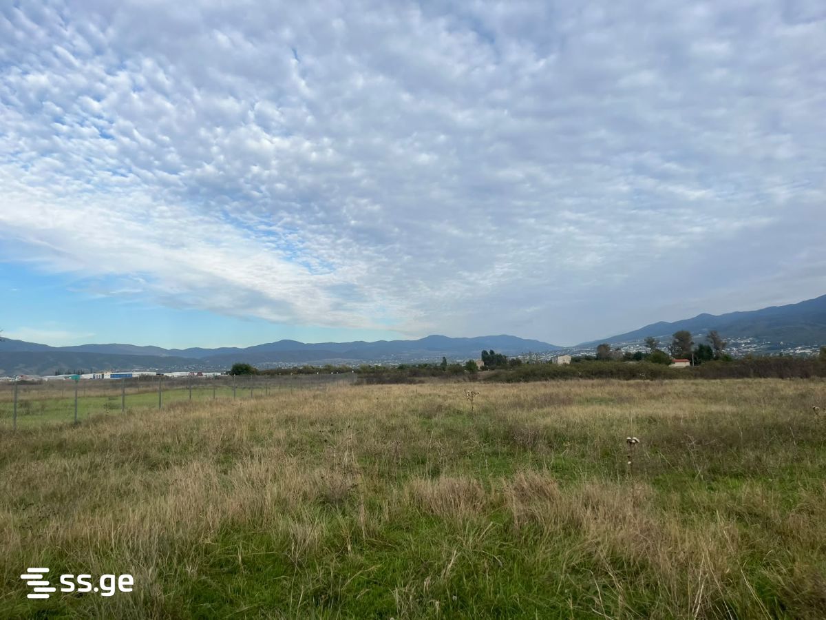 Land For Sale. Natakhtari view 4