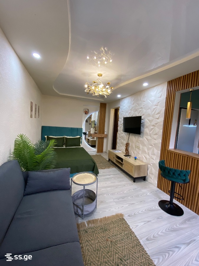 1 Room Flat Daily Rent. Poti view 4