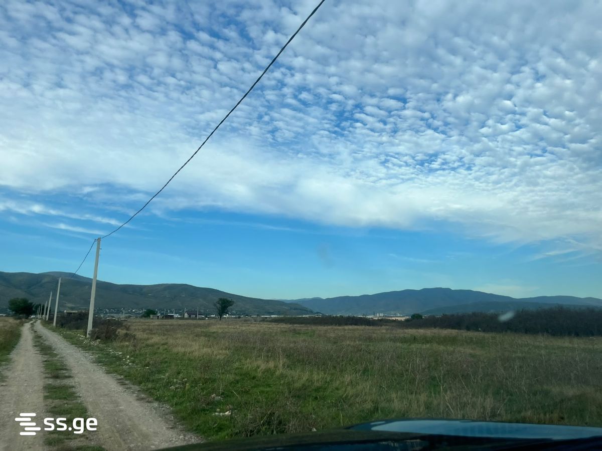 Land For Sale. Natakhtari view 2