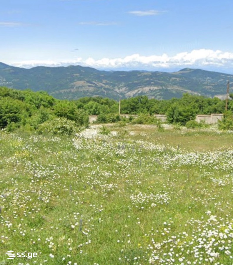 Land For Sale. Betania view 1