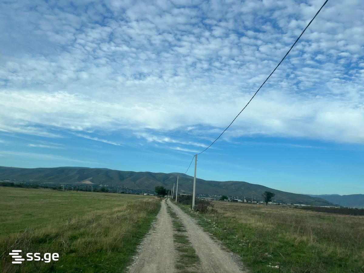 Land For Sale. Natakhtari view 3