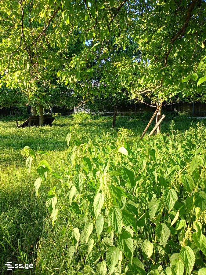 Land For Sale. Khashuri view 2