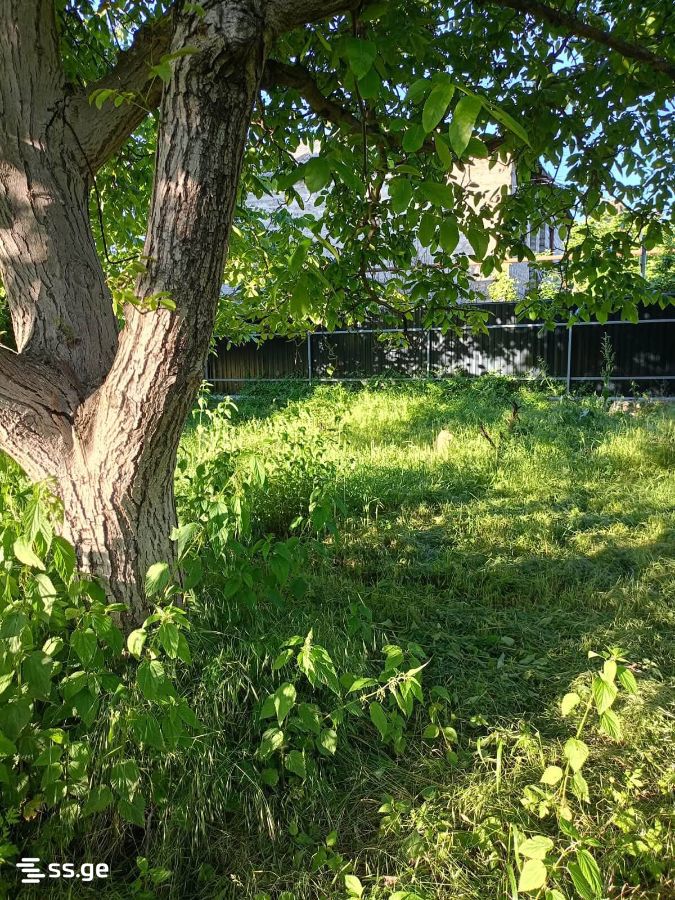 Land For Sale. Khashuri view 4