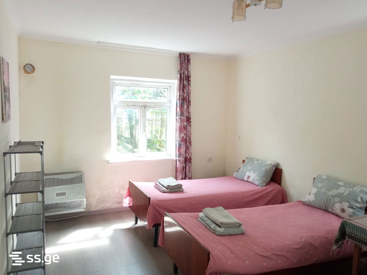 1 Room Private House Daily Rent. Zugdidi view 3