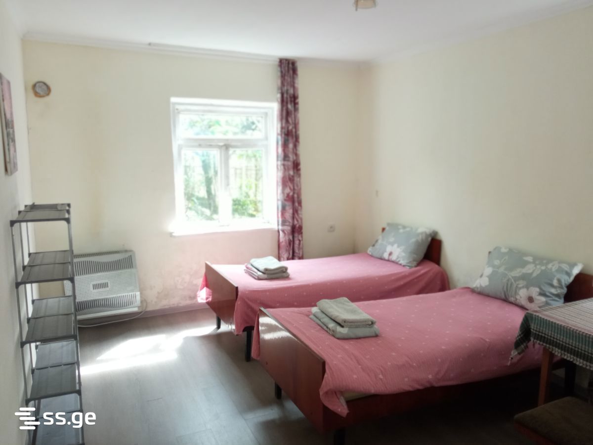 1 Room Private House Daily Rent. Zugdidi view 1