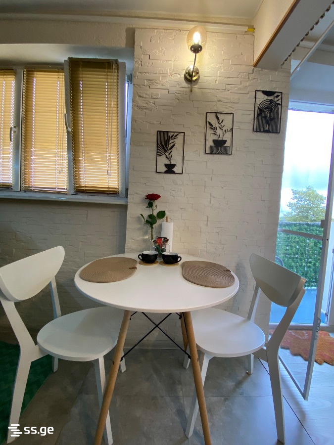1 Room Flat Daily Rent. Poti view 3