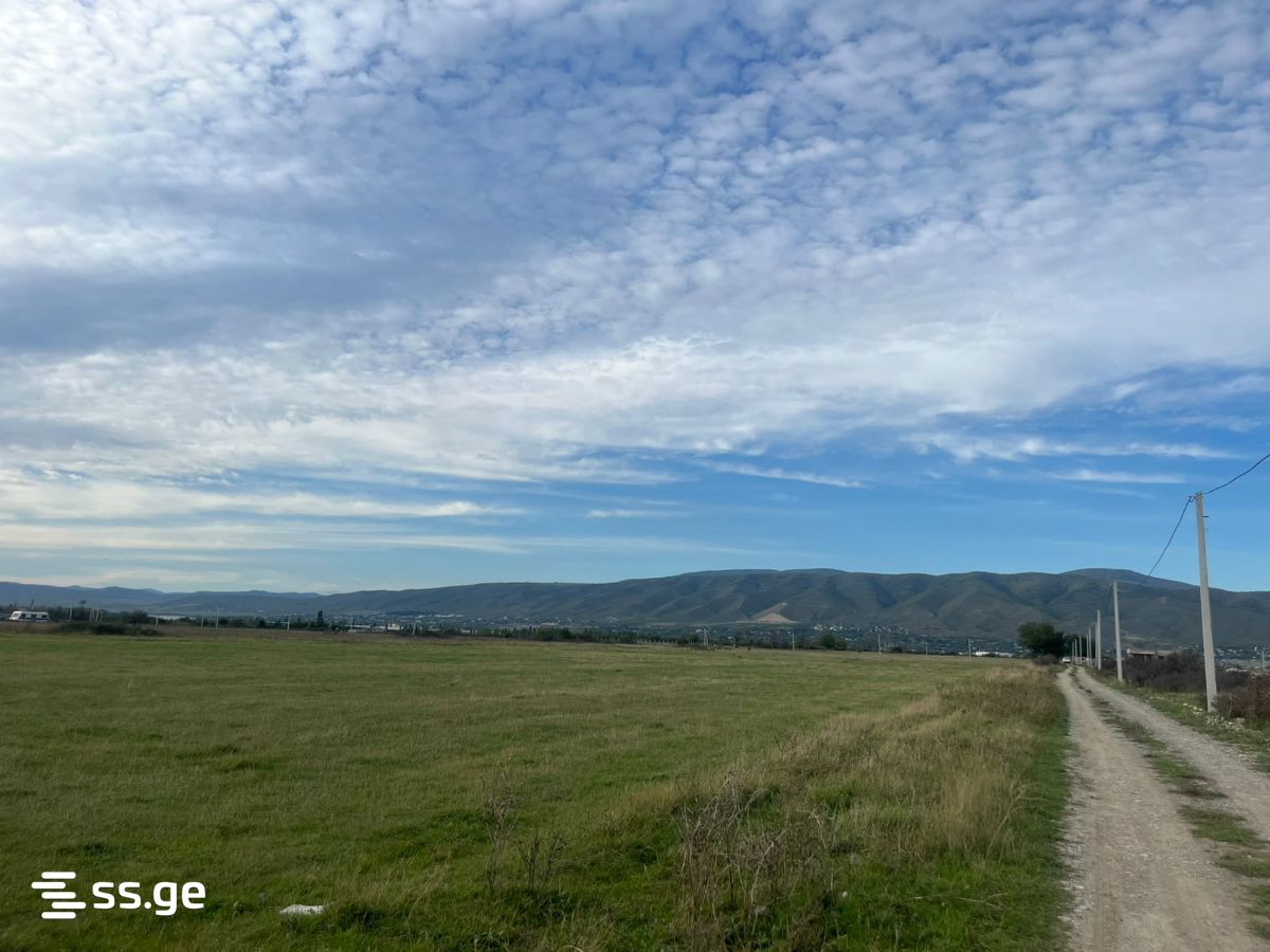 Land For Sale. Natakhtari view 1