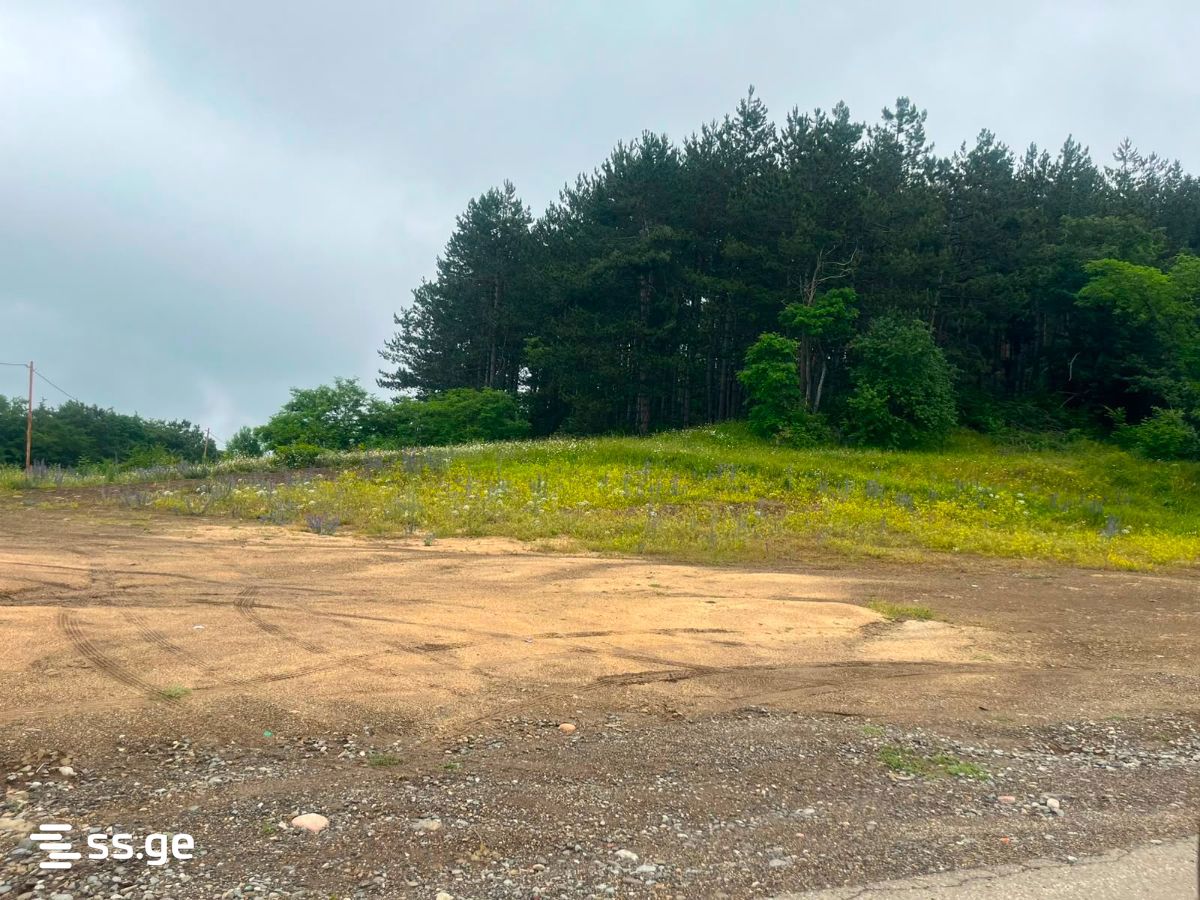 Land For Sale. Orbeti view 4
