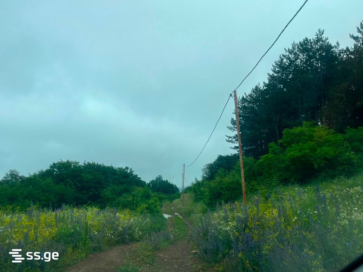 Land For Sale. Orbeti view 3