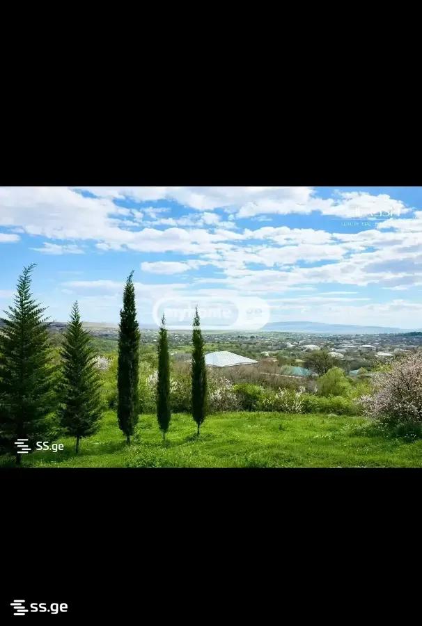 Hotel For Sale. Sagarejo view 12