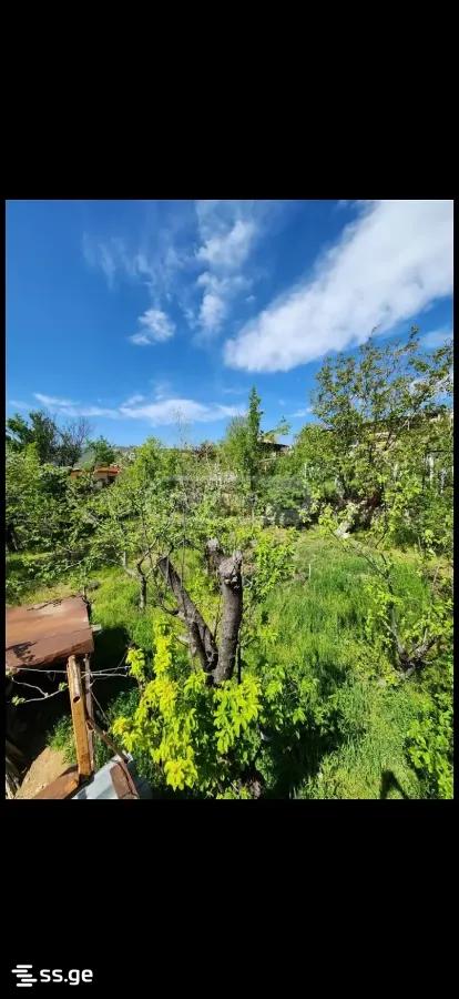 5 Room Private House For Sale view 11
