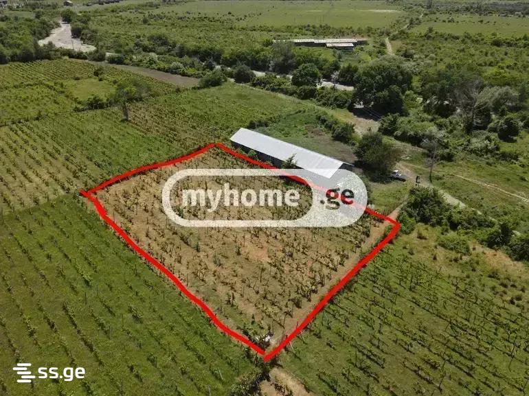 Land For Sale. Keda view 1