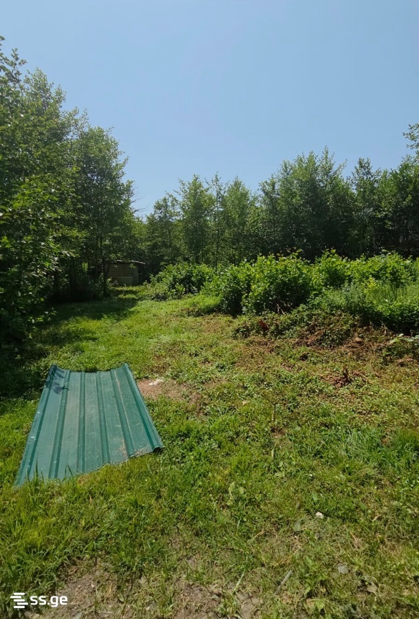 Land For Sale. Grigoleti view 1