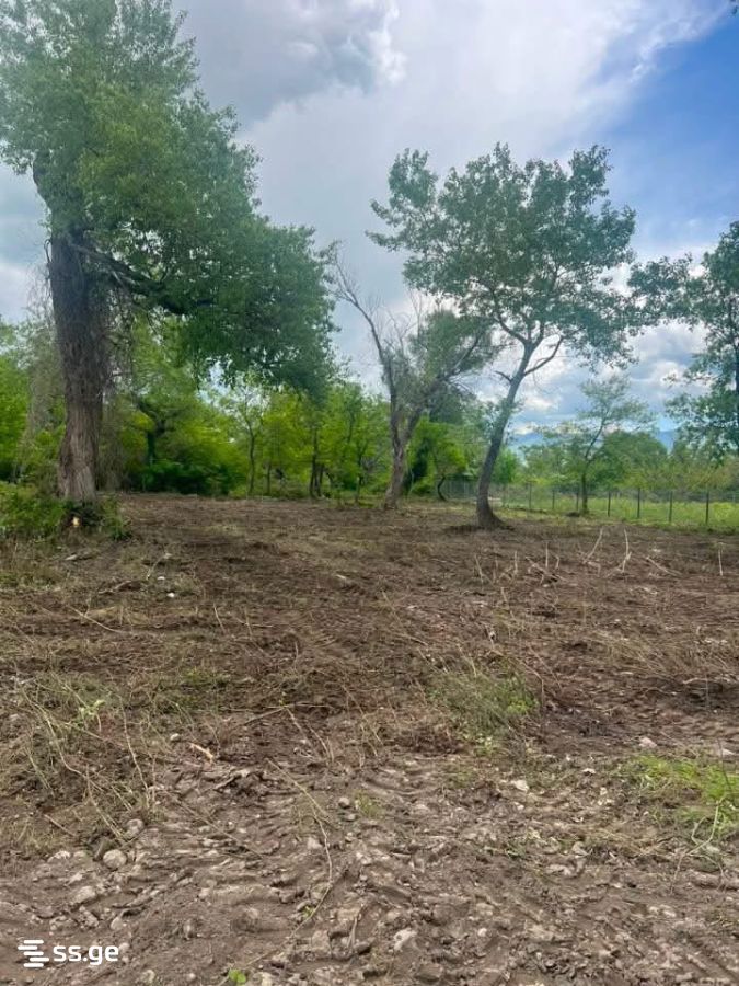 Land For Sale. Misaktsieli view 1