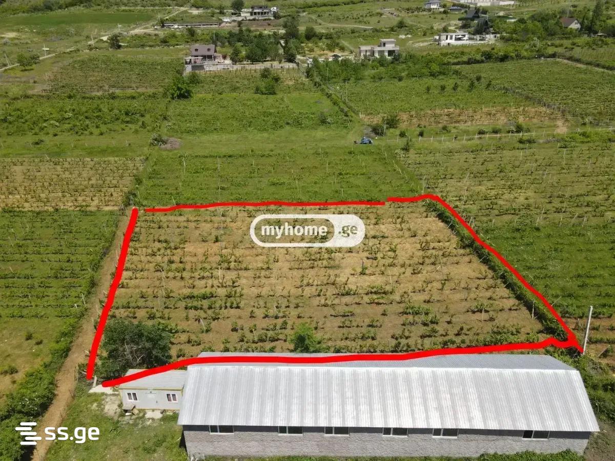 Land For Sale. Keda view 6