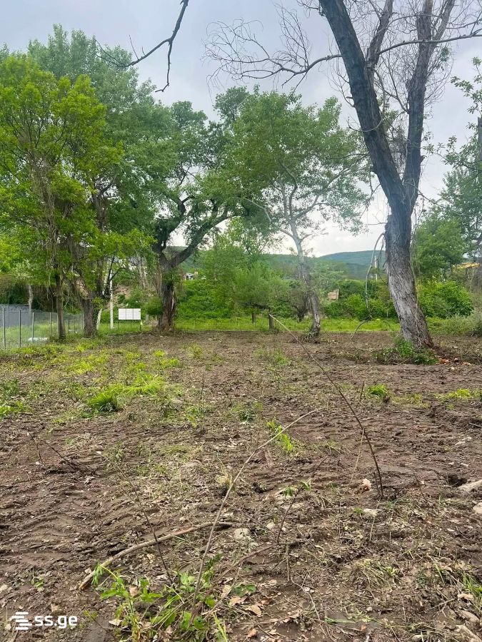Land For Sale. Misaktsieli view 3