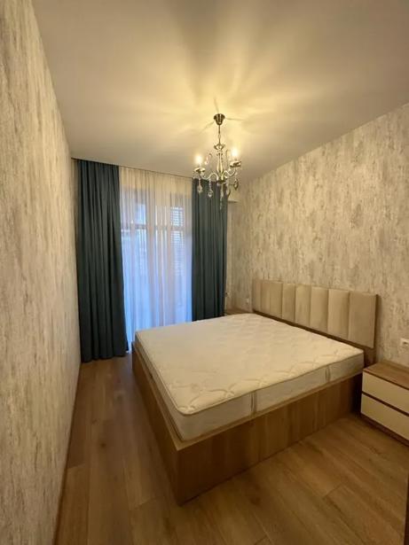 https://static.ss.ge/20261006/19_7ab393fc-db42-46e6-8a5d-077b11c23a40_Thumb.jpg