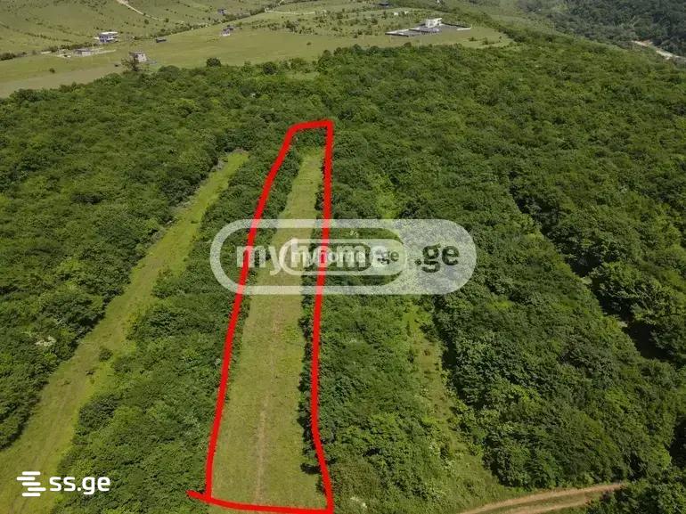 Land For Sale. Keda view 1