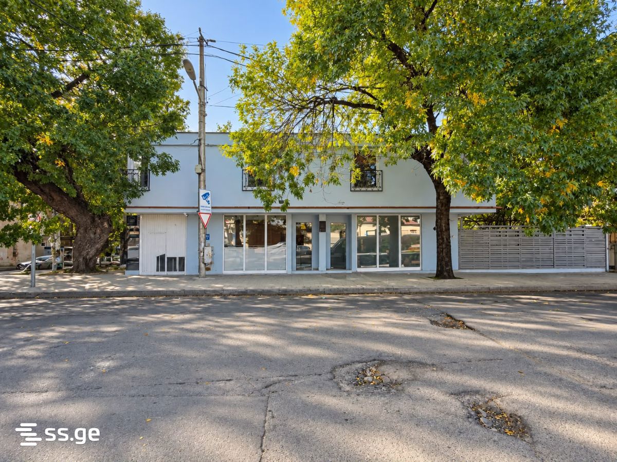 Commercial Space For Sale. Nadzaladevi view 1