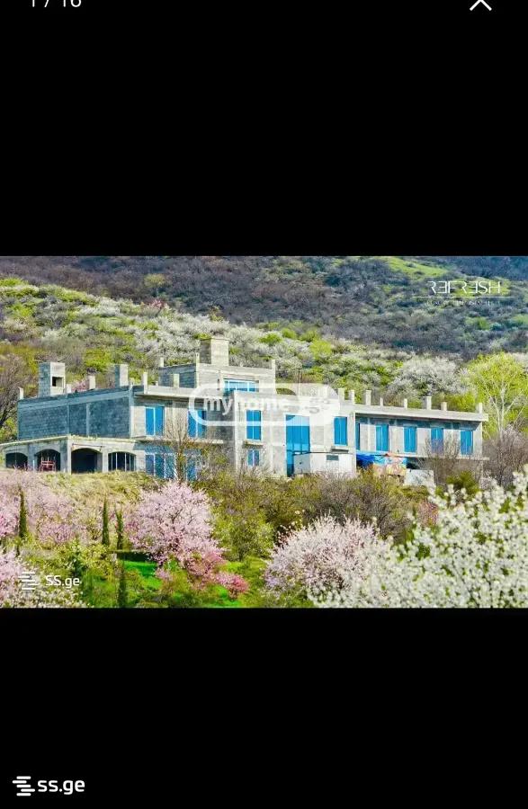 Hotel For Sale. Sagarejo view 2