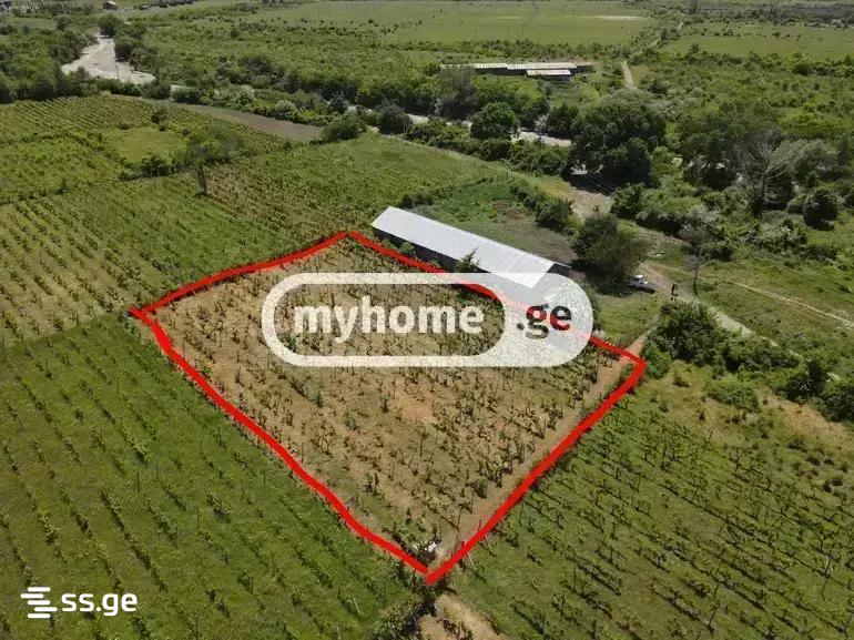 Land For Sale. Keda view 1