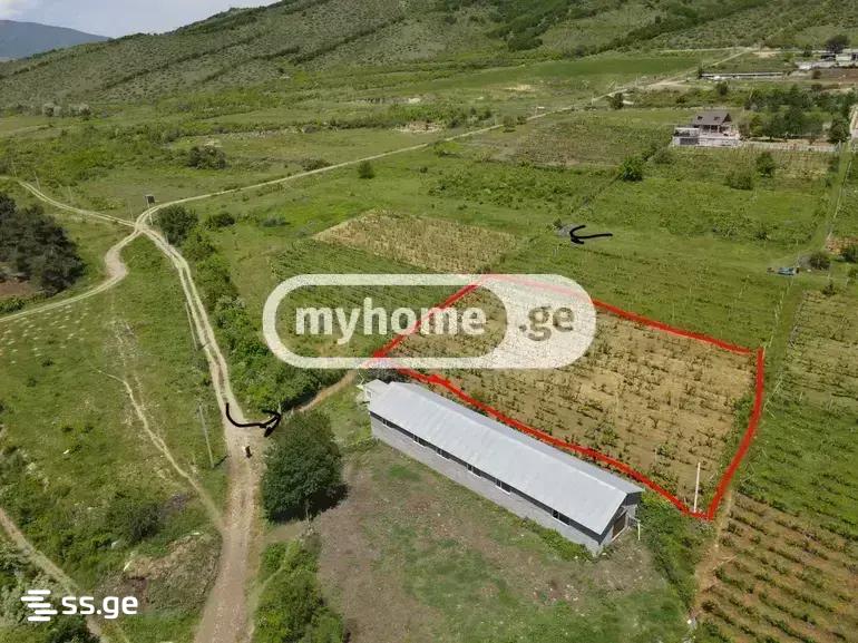 Land For Sale. Keda view 3
