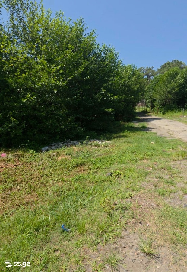 Land For Sale. Grigoleti view 2