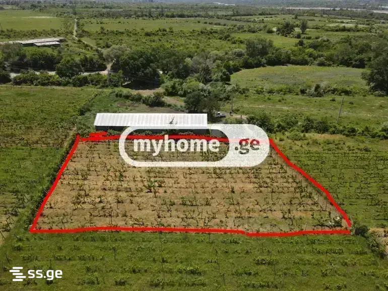 Land For Sale. Keda view 4