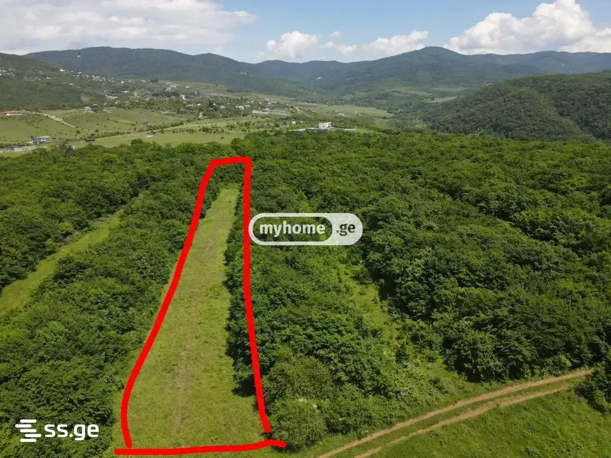 Land For Sale. Keda view 4