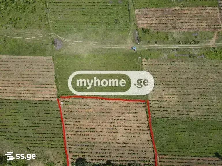 Land For Sale. Keda view 2