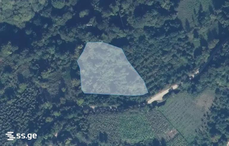 Land For Sale. Keda view 1