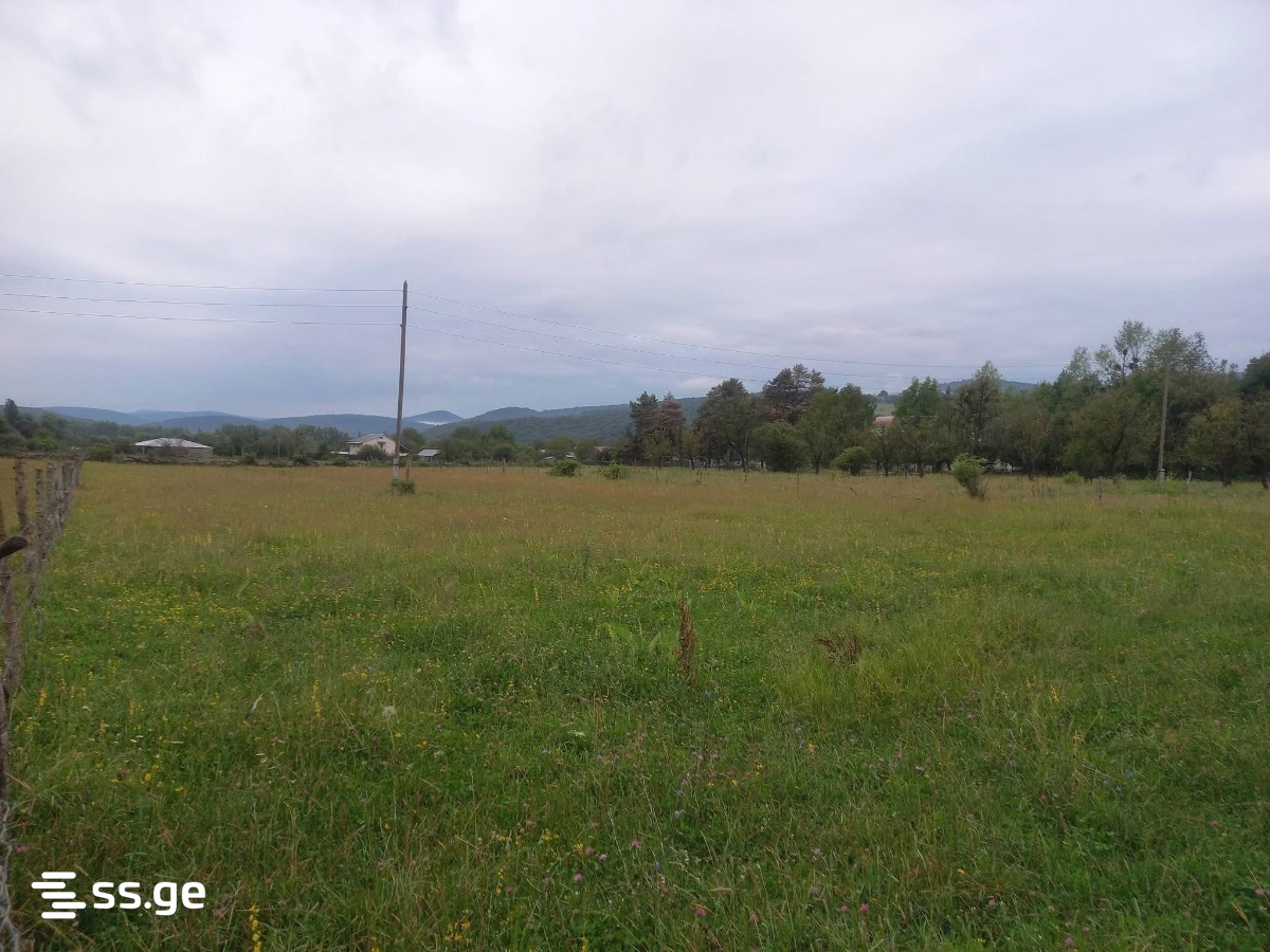 Land For Sale. Tianeti view 3