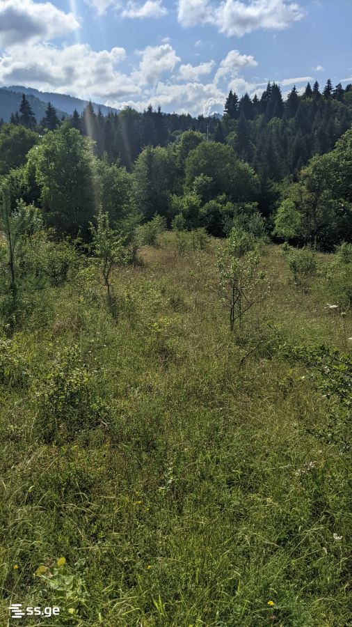 Land For Sale. Borjomi view 4
